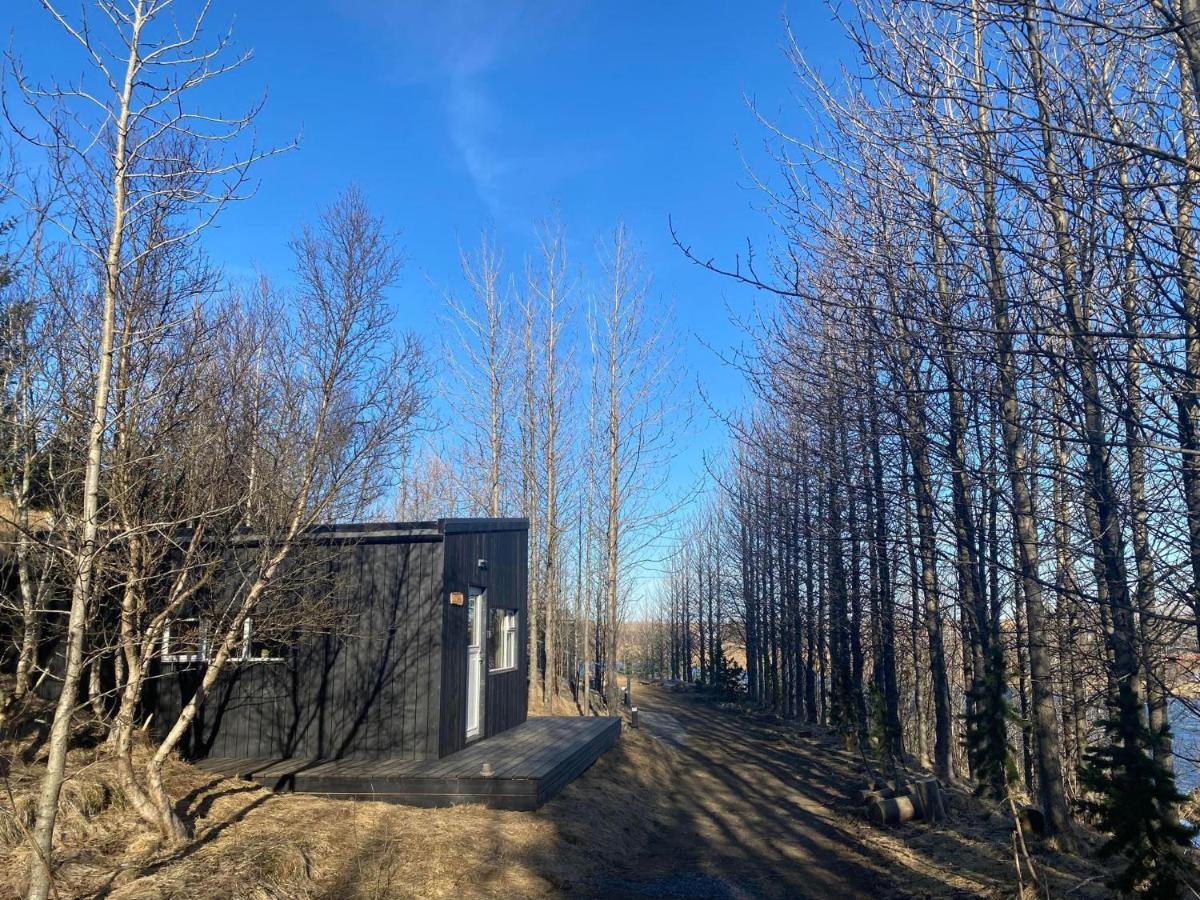 דירות הלה Audkula Dome Cabin מראה חיצוני תמונה