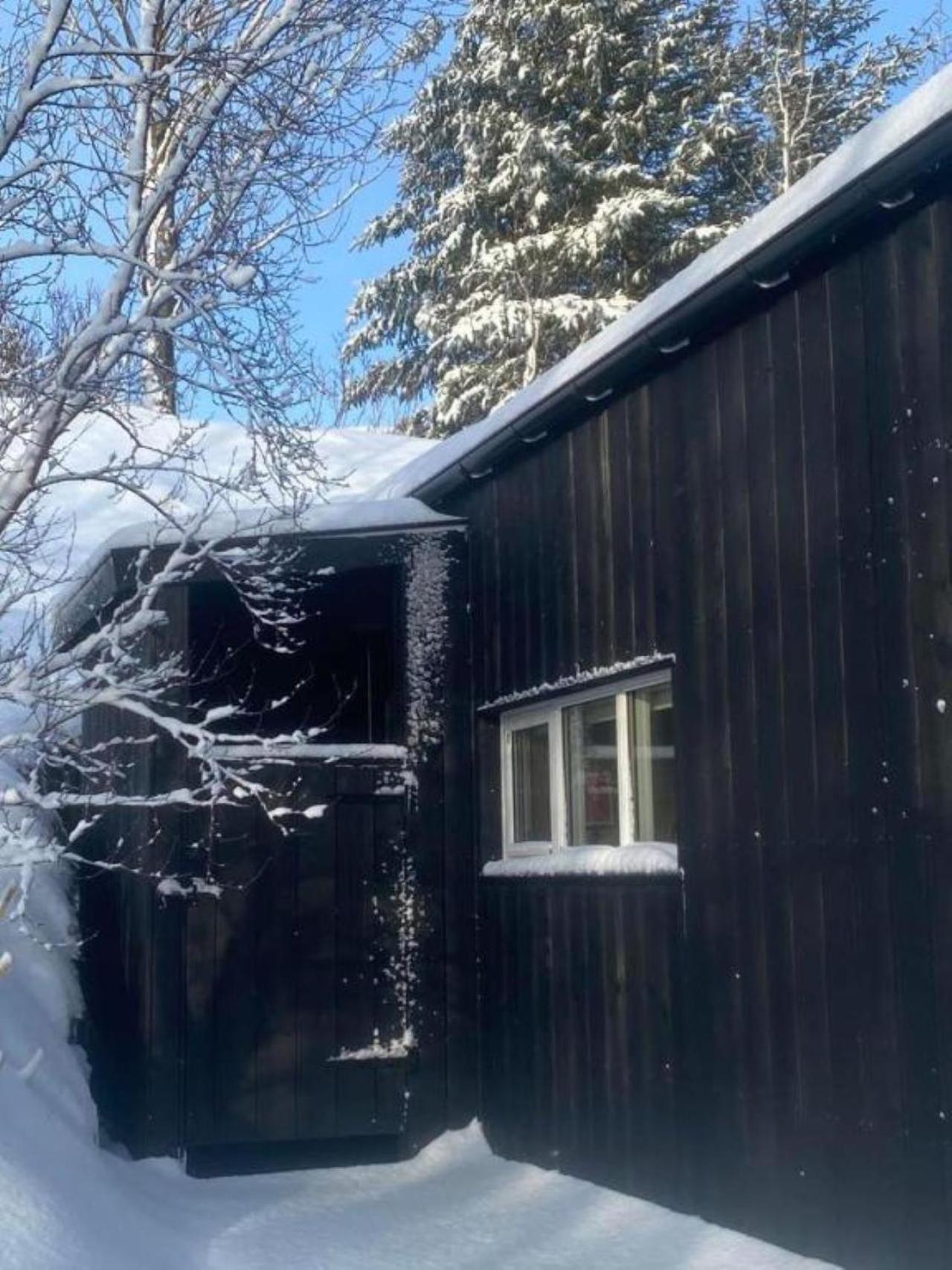 דירות הלה Audkula Dome Cabin מראה חיצוני תמונה